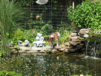 Enlarge photo 7