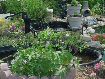 Enlarge photo 25