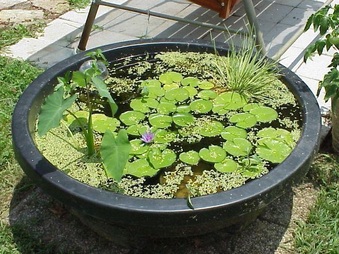 Enlarge photo 16