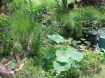 Enlarge photo 27