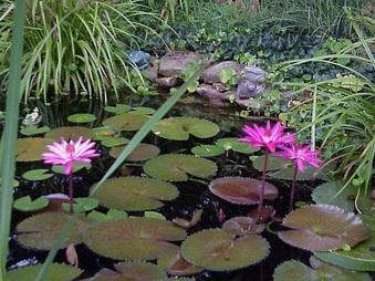 Enlarge photo 22