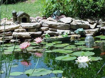 Watergarden