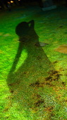 Enlarge photo 38