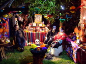 Enlarge photo 43