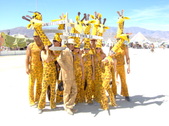 Enlarge photo 49