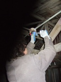 Enlarge photo 28
