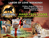 LION HABITAT RANCH LABOR DAY