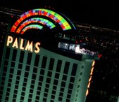 PALMS