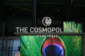 STRIP VEGAS