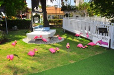 Enlarge photo 4