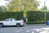Enlarge photo 96