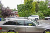 Enlarge photo 113