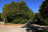Enlarge photo 131