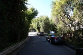 Enlarge photo 134