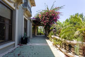 Enlarge photo 82