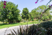 Enlarge photo 87