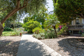 Enlarge photo 113
