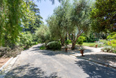 Enlarge photo 114