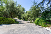Enlarge photo 118