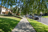 Enlarge photo 88
