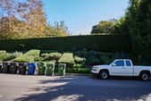 Enlarge photo 174
