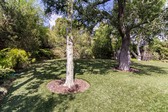 Enlarge photo 146