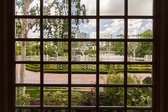 Enlarge photo 53