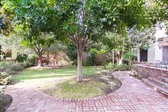 Enlarge photo 134