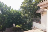 Enlarge photo 93