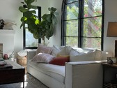 Enlarge photo 23