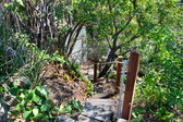 Enlarge photo 35