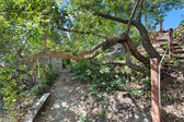 Enlarge photo 36
