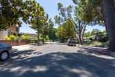 Enlarge photo 112
