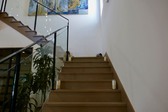 Enlarge photo 68