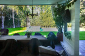 Enlarge photo 68