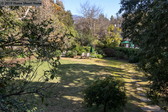 Enlarge photo 62