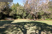 Enlarge photo 65