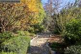Enlarge photo 76