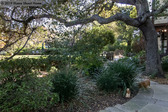 Enlarge photo 79
