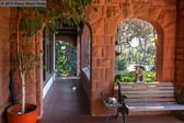 Enlarge photo 88