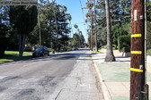 Enlarge photo 95