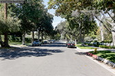 Enlarge photo 128
