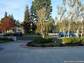 Enlarge photo 69