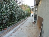Enlarge photo 141
