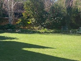 Enlarge photo 16