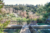 Enlarge photo 128