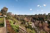Enlarge photo 146