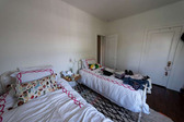 Enlarge photo 82