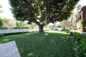 Enlarge photo 96