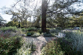 Enlarge photo 99